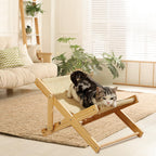 Katzenbett - Verstellbares Katzenbett mit Hammock, Stabiler Ruheplatz für Katzen Bis 10kg, Ideal für Katzen, Welpen und Kleintiere, Katze Beliebtem Sisal-Kratzfläche